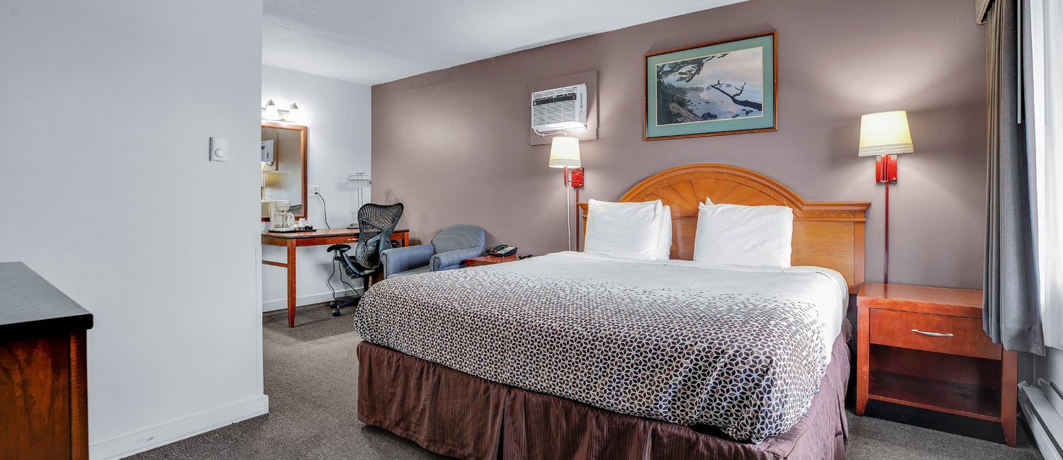 Distill Inn Is Dog-Friendly